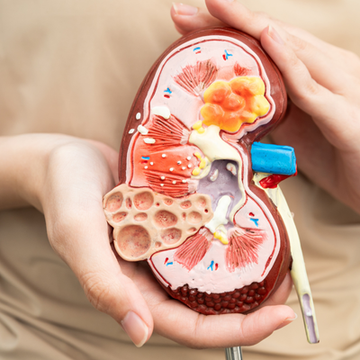 Urology and Andrology Services